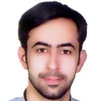 حسین فوزی فرد