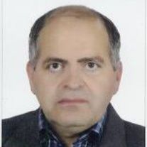 حسین لطفی نیا