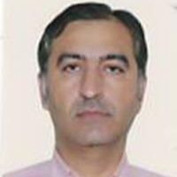 حسین محمدی