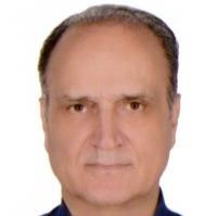 حسین سعیدی مطهر