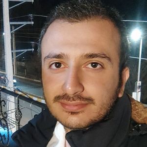 حسین شاولی