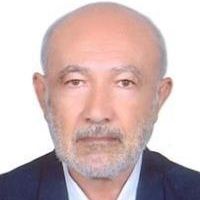 حسین زرفشانی