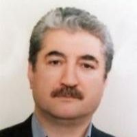 هوشنگ سلیم النفس
