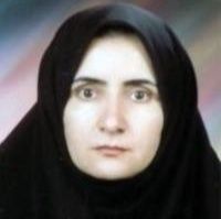 خدیجه کرمی محمدی