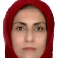 خدیجه ابراهیم نژادآقمشهدی