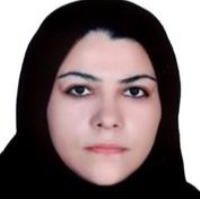 خدیجه سلیمانی حمید