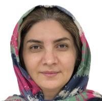 لیلا هاشمی
