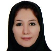ماه منیر جهان گیری