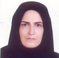 ماهان رضوان