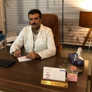 مهدی حمیدیان