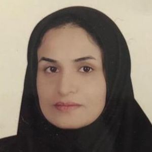 مهین نصرت زهی