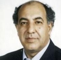 محمود پیرحسینی