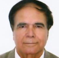 محمود شمسی شهر آبادی