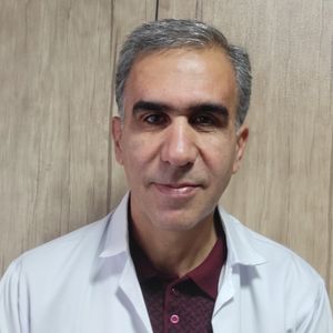 محمود مجملی