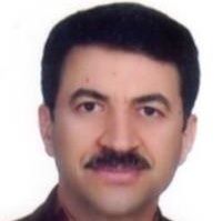 محمود رباطی انارکی
