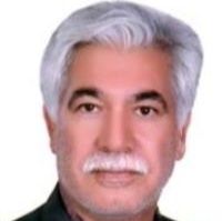 محمود عامریون