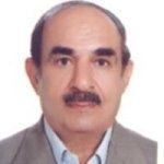 محمود مفیدی