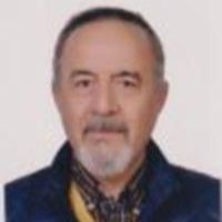 محمود رافتی
