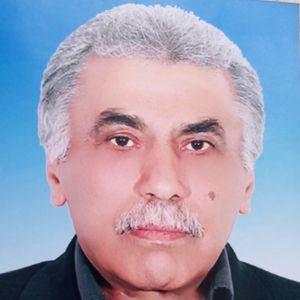 محمود شاهرخی