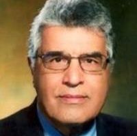 محمود شهزادی