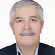 محمود شکیبی