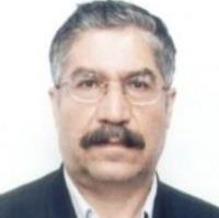 محمود طاهری عراقی