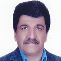 محمودرضا باغی نیا
