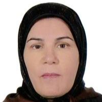 مهناز برومند
