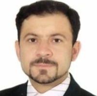 مجید برگ ریزان