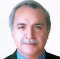 مجید حیدری