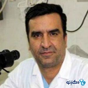 مجید خلیلی