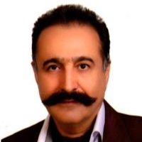 مجید شکیباپور