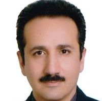 مجید ولی زاده