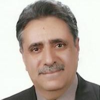 مجید زارع دیزجدیزی