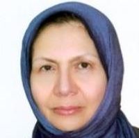 ملک مریم افکار