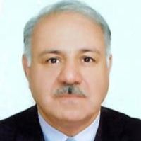 منوچهر وحیدفرهمندی