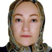 مریم حبیبی