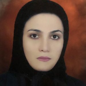 مرضیه احمدی ششده