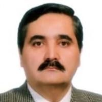مسیح سیدمدنی
