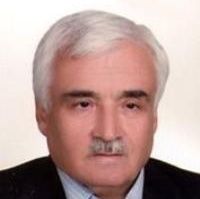 مسعود امینی