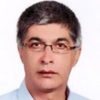 مهدی برادران علی زاده