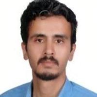 مهدی حمزه