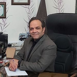 مهدی حلم زاده