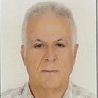 مهدی خراسانی