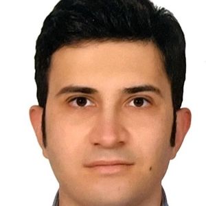 مهدی توکلی دینانی