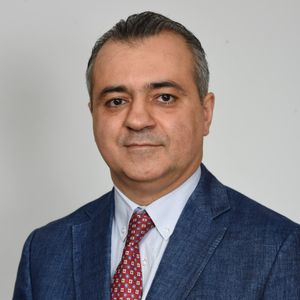 مهرداد بهلولی