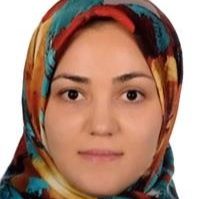 مهری سالاری
