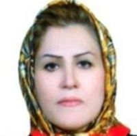 مهرزاد محبی