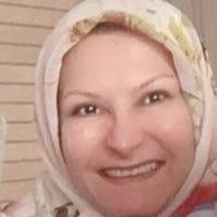 مینا آزمون