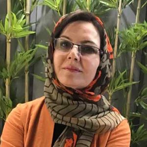 مینا غلامی